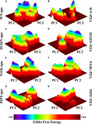 Gibbs Free Energy Calculation of Mutation in PncA and RpsA Associated With Pyrazinamide Resistance